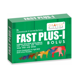 bolus fast Plus